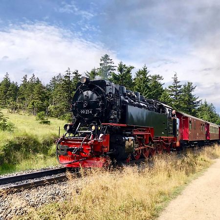 Fewo Fuchsbau Mit Dampfdusche #Kamin#Innenstadtnaehe#Netflix Von Harztraveler บัดฮาร์ซบวร์ก ภายนอก รูปภาพ